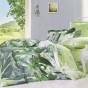 Постельное белье из сатина Сайлид B-151 Зеленый, 1.5 спальный