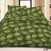 Постельное белье поплин Вальтери П-25 (Зеленый), 1.5 спальный
