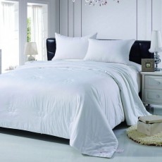 Шелковое одеяло 'Вальтери Шелк' (Белый), Полуторное 145x205